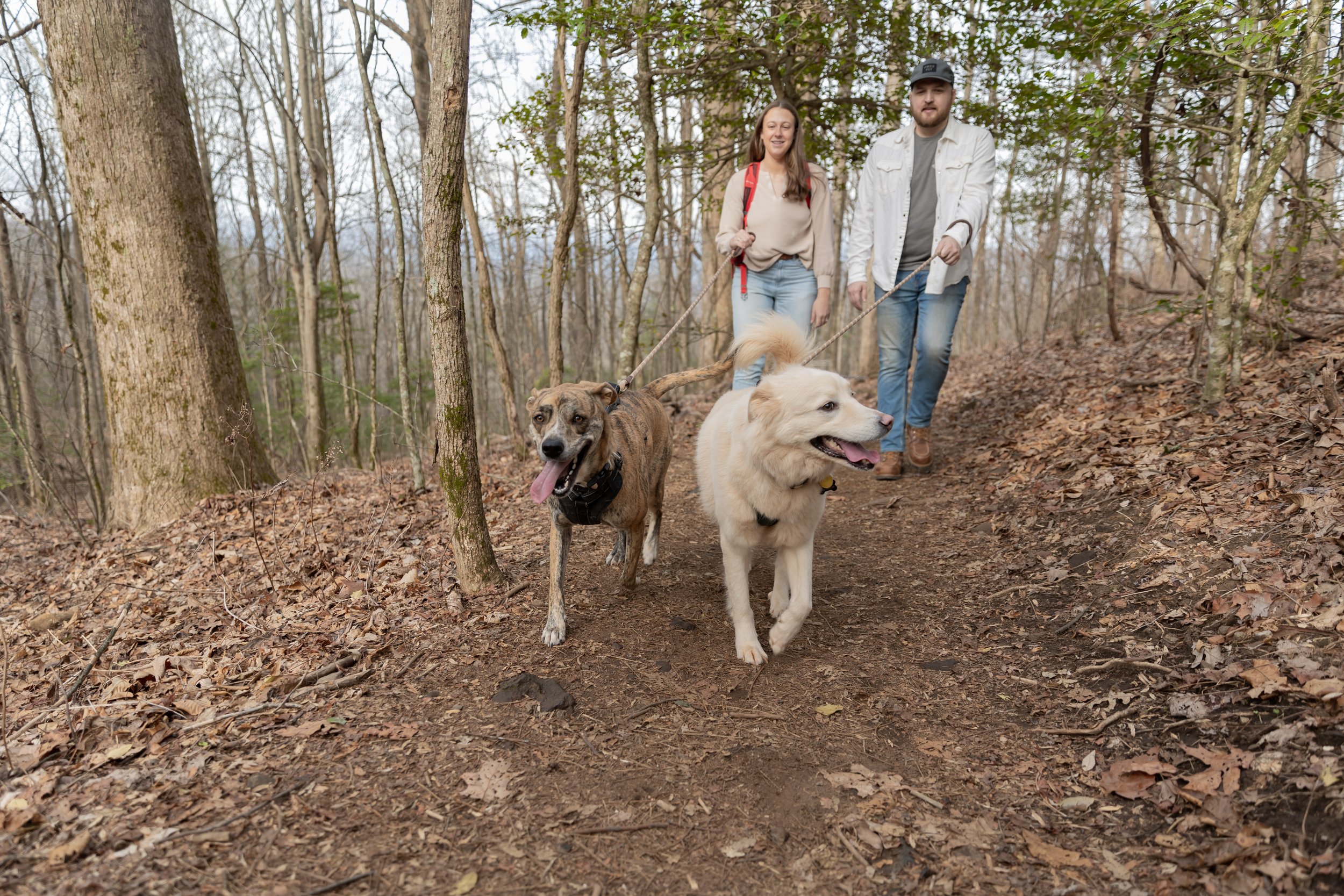 Hike and Brewery Engagement shoot at Preacher's Rock in North Georgia.