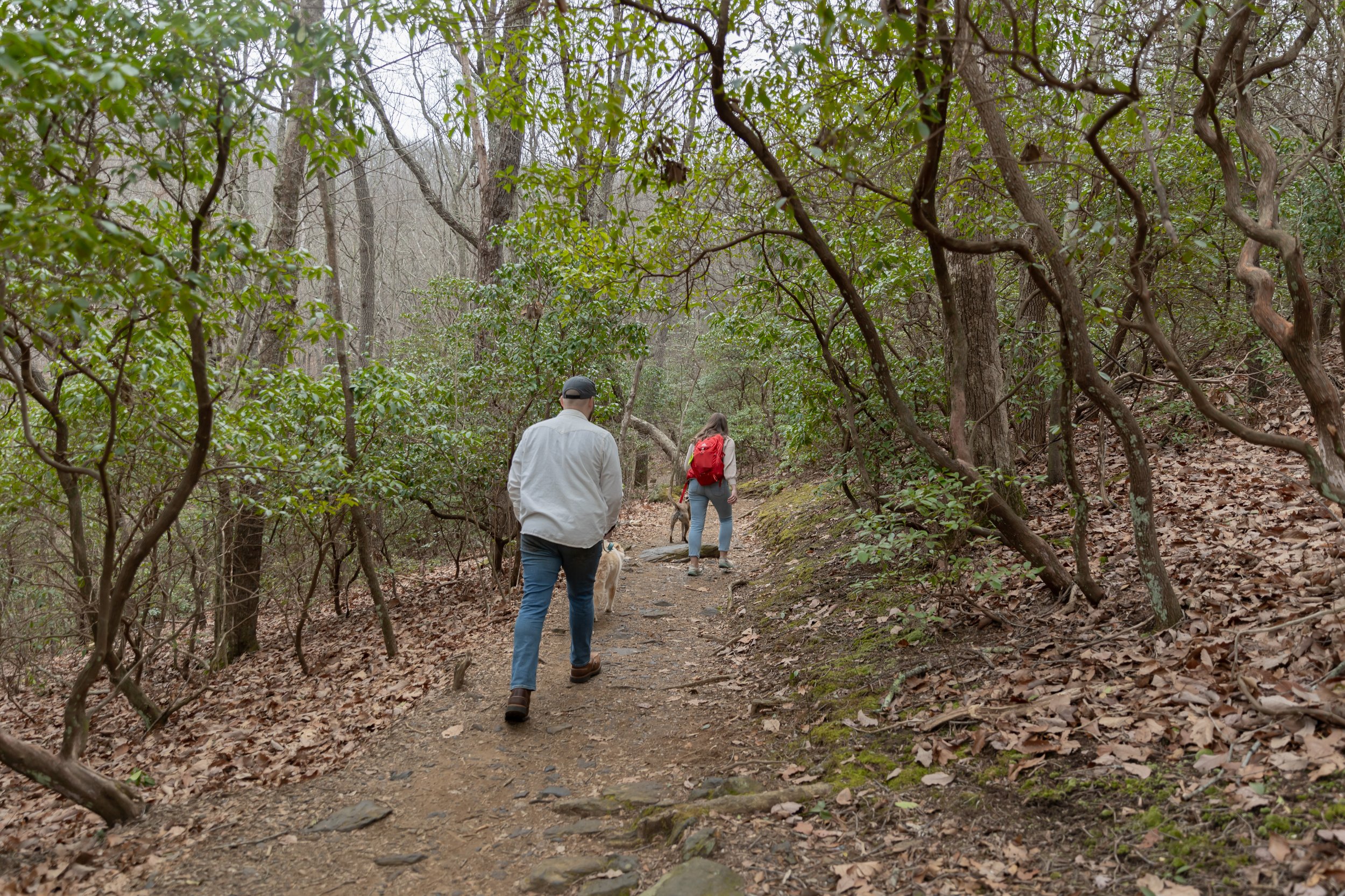 engagementphotos-4.jpg