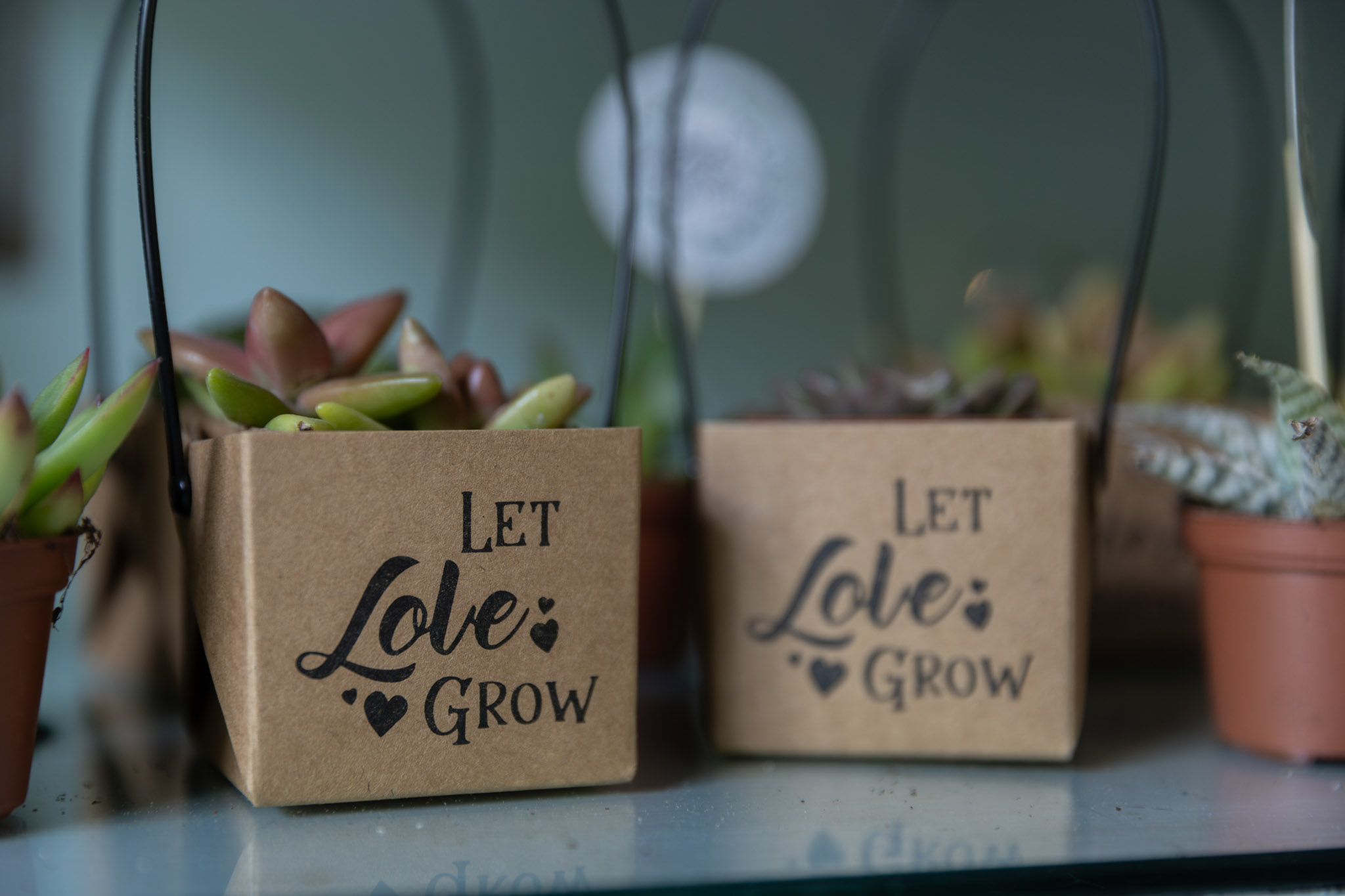 Butterfly Pavilion Wedding and Elopement Venue Indoor Natural Decor.