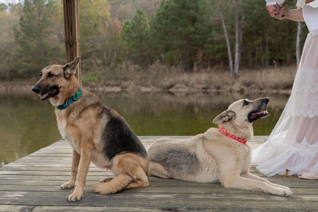 georgia elopement photographer, lgbtq wedding, dogs as witnesses, love is love, georgia elopements, elopement photography